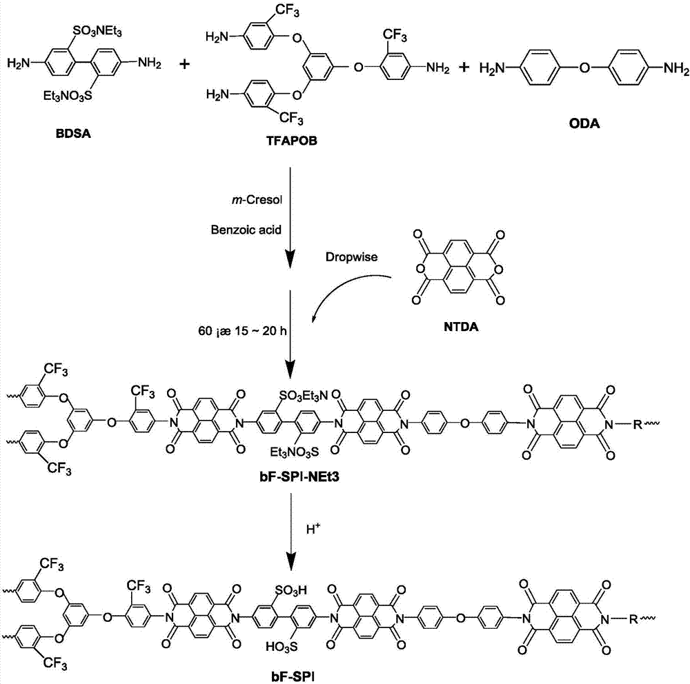 Preparation method of fluorine-containing branched sulfonated polyimide proton conducting membrane