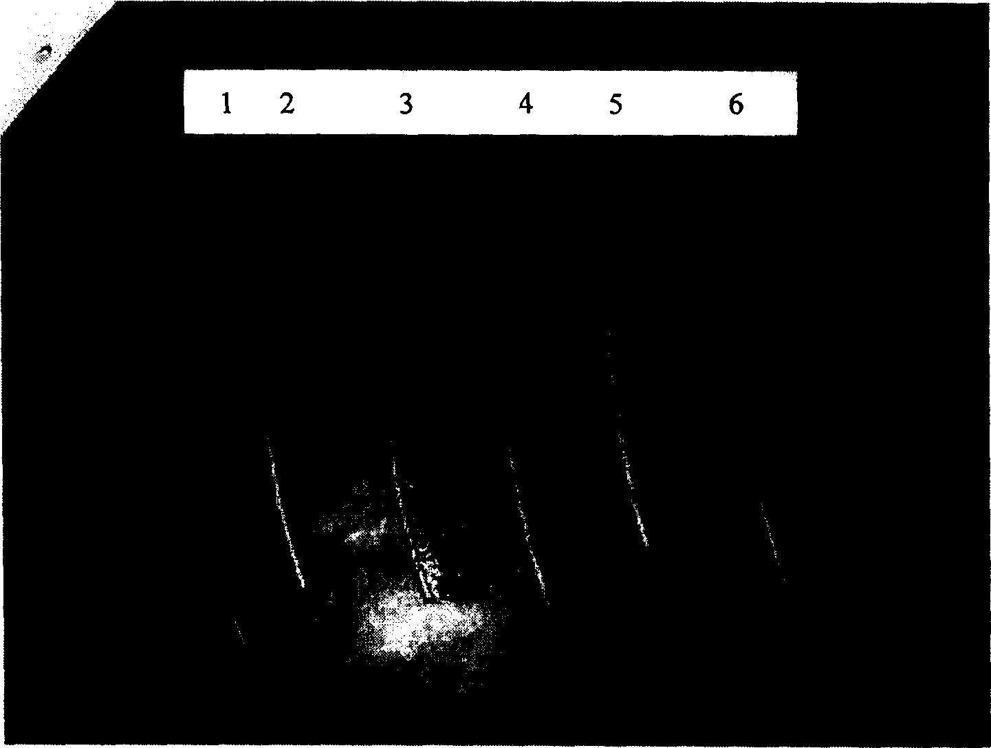 Compound cleaning method for hot dip steel member