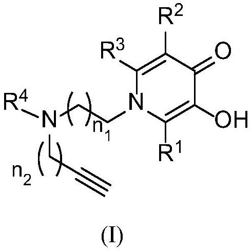 Pyridone-site alkyne amine modified derivative as well as preparation method and application thereof