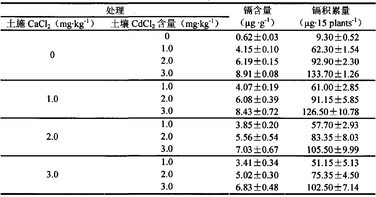 Method for reducing overground part heavy metal cadmium accumulation of rosaceae fruit tree rootstock