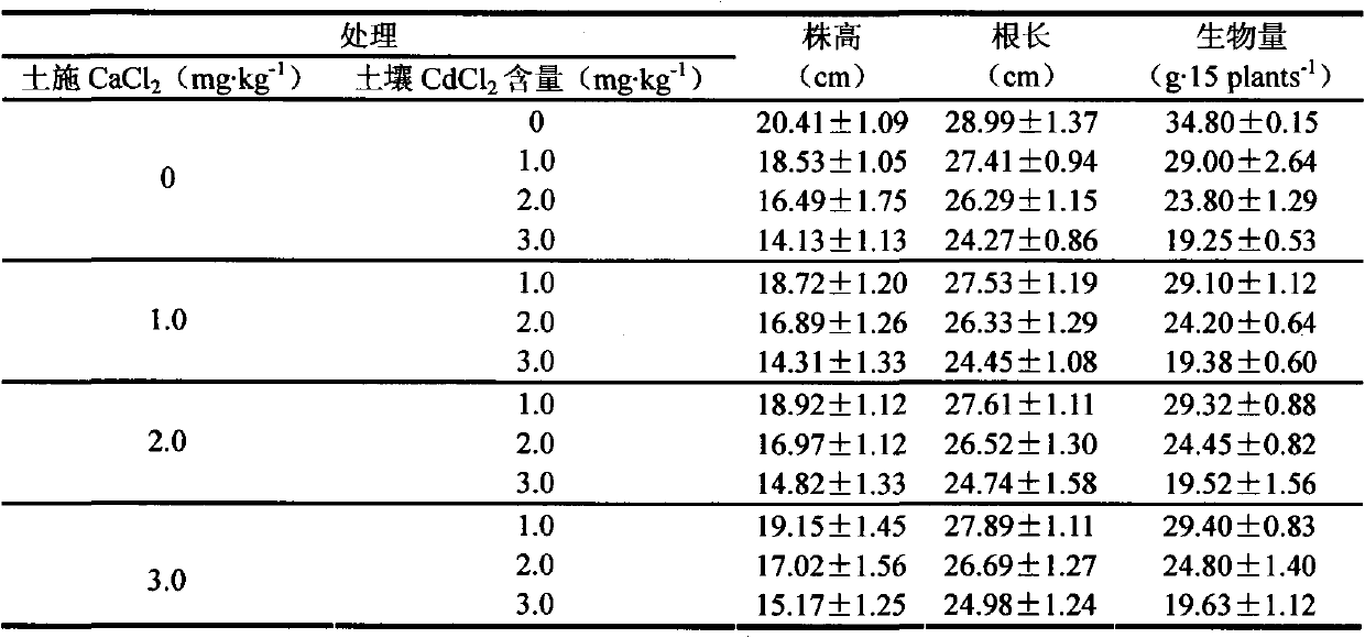 Method for reducing overground part heavy metal cadmium accumulation of rosaceae fruit tree rootstock