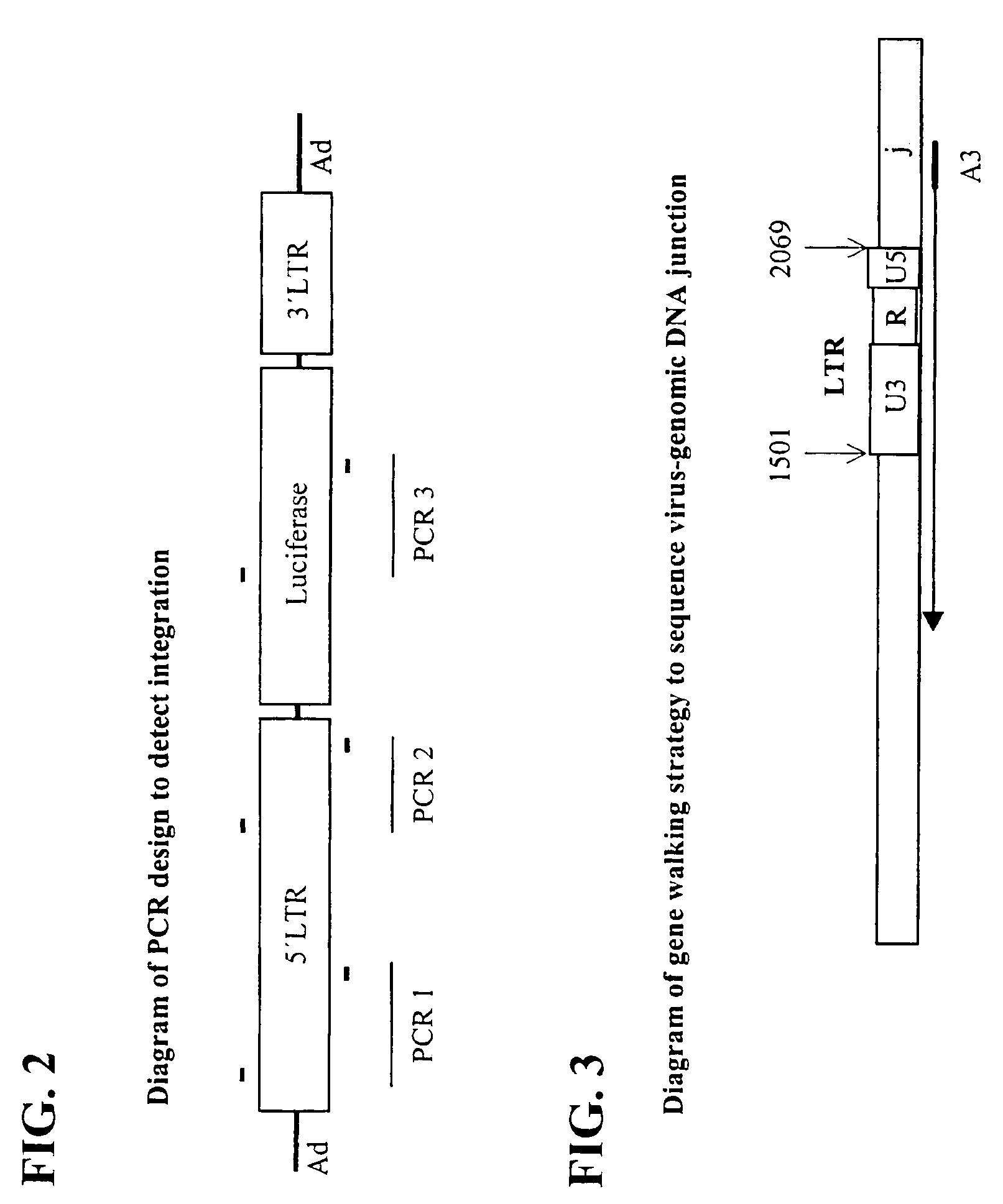 Hybrid adeno-retroviral vector for the transfection of cells