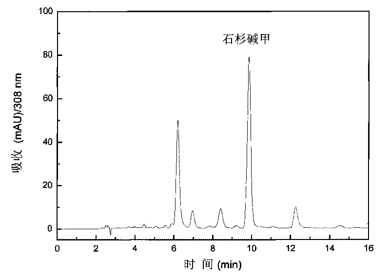 New method for extracting and separating high-purity huperzine A from thousand-layer column