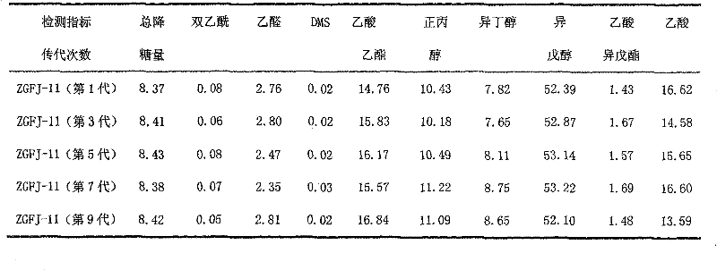 Yeast strain of beer and application thereof