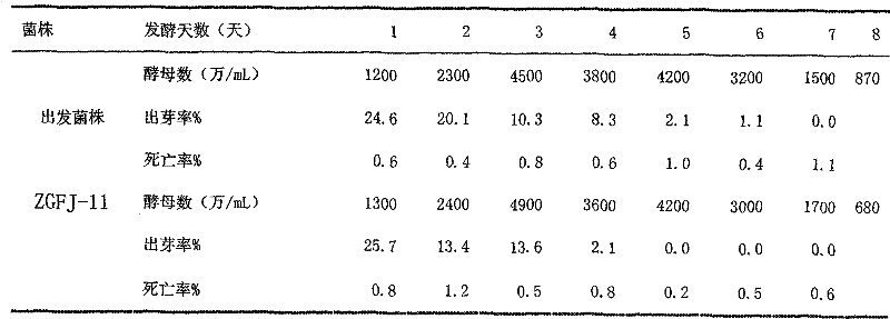 Yeast strain of beer and application thereof