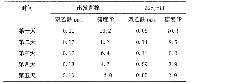 Yeast strain of beer and application thereof