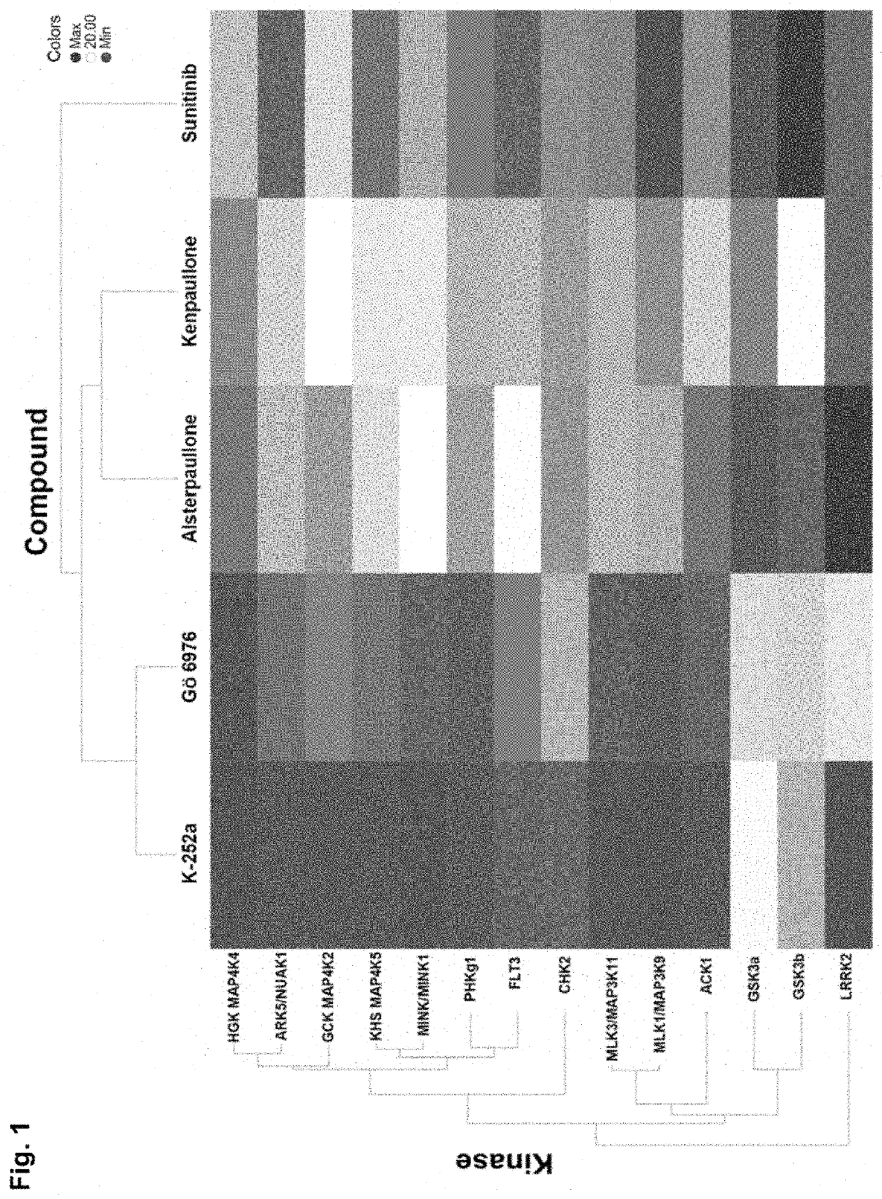 Compounds, compositions, and methods for suppressing toxic endoplasmic reticulum stress