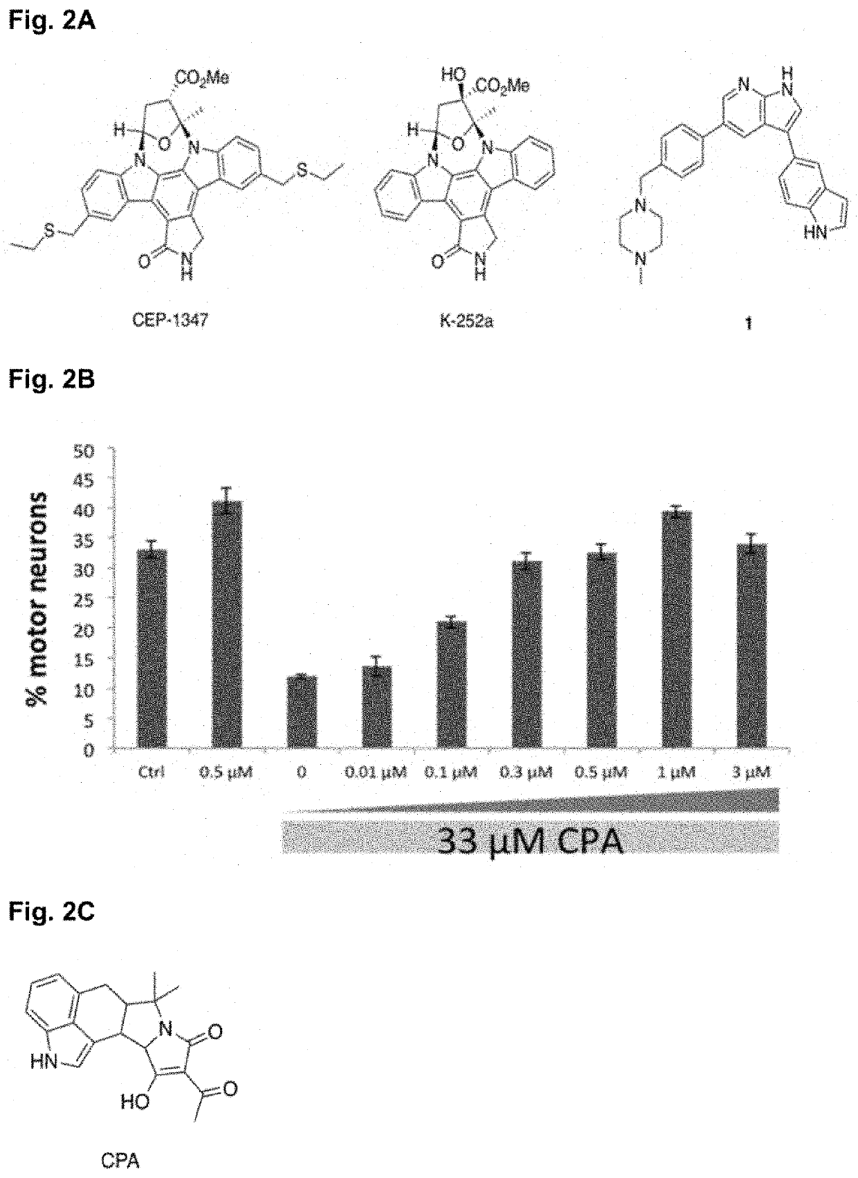 Compounds, compositions, and methods for suppressing toxic endoplasmic reticulum stress