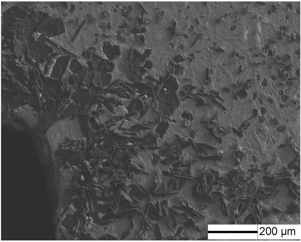 Method for preparing protective coating suitable for blade with high Mo content and complex inner cavity structure