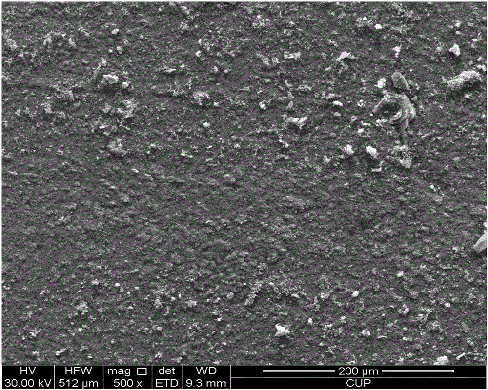 Method for preparing protective coating suitable for blade with high Mo content and complex inner cavity structure