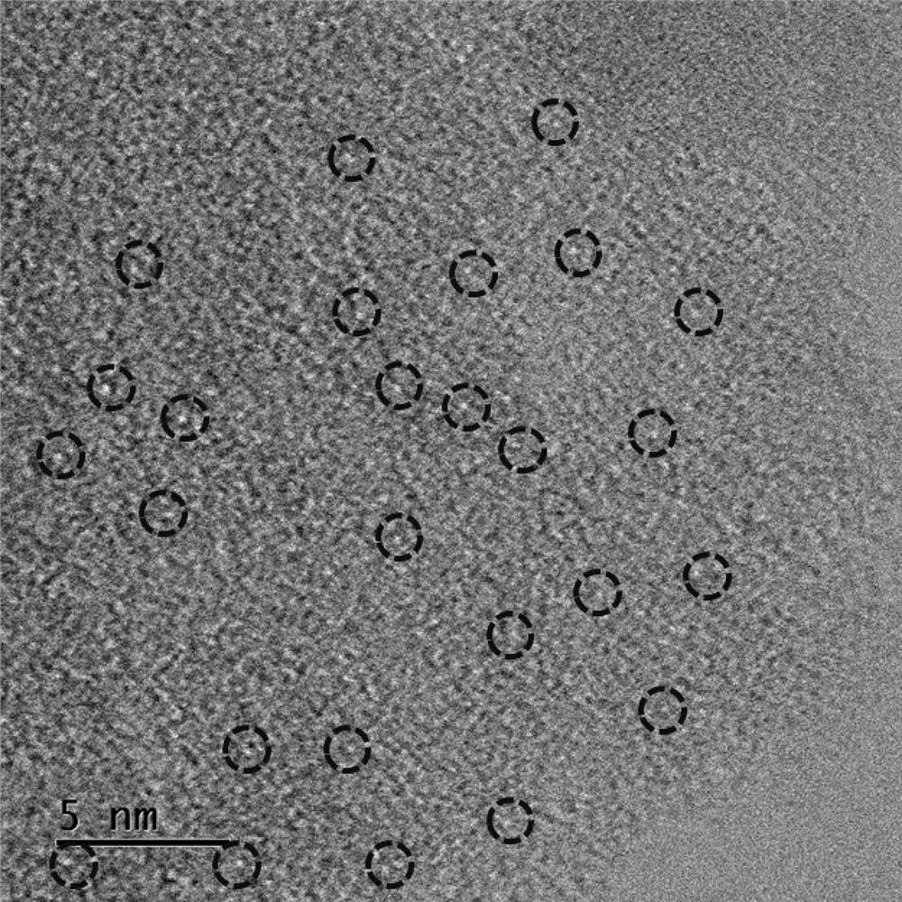 Hyaluronic acid modified FeCo bimetal synergistic monatomic catalyst as well as preparation method and application thereof