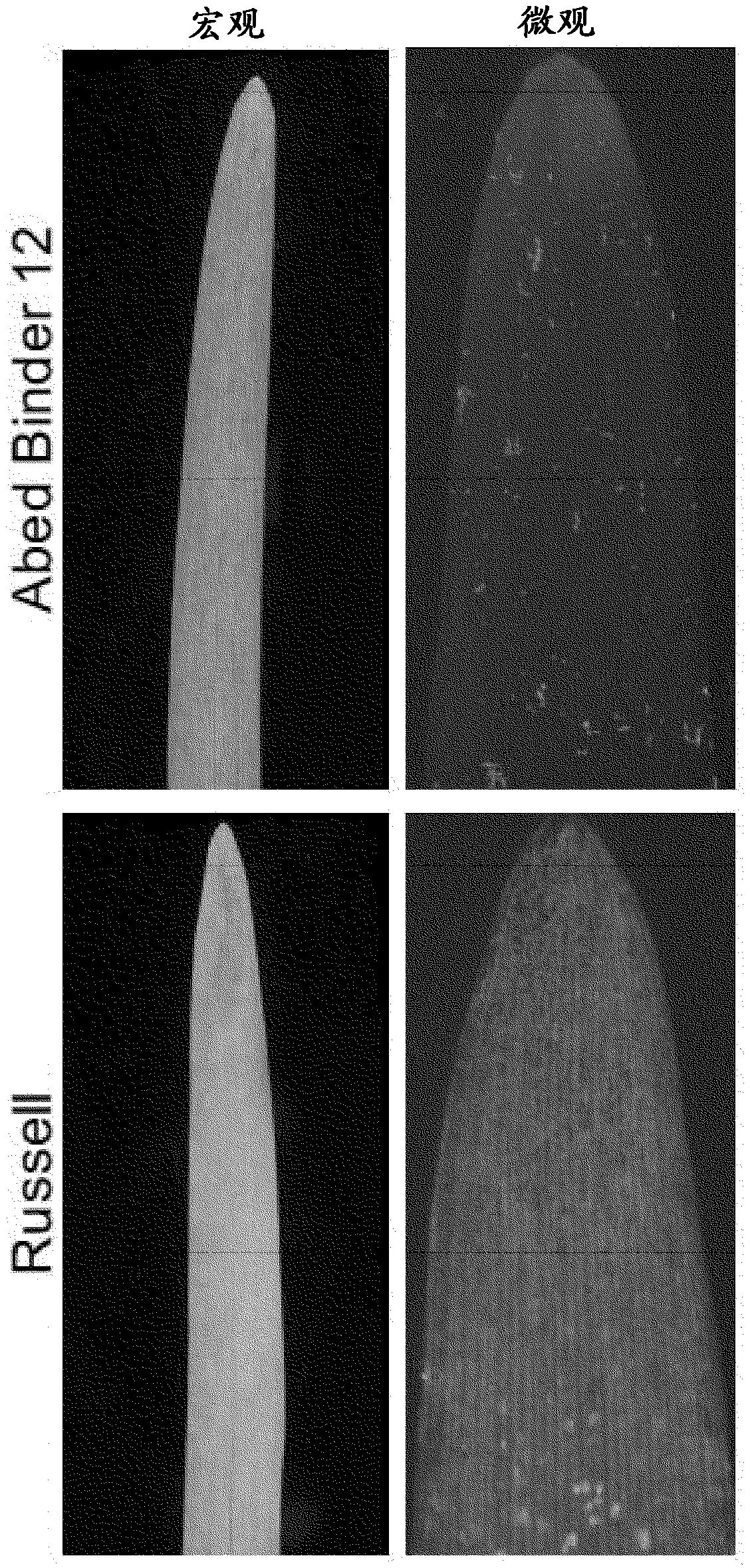 Wheat stripe rust resistance genes and methods of use