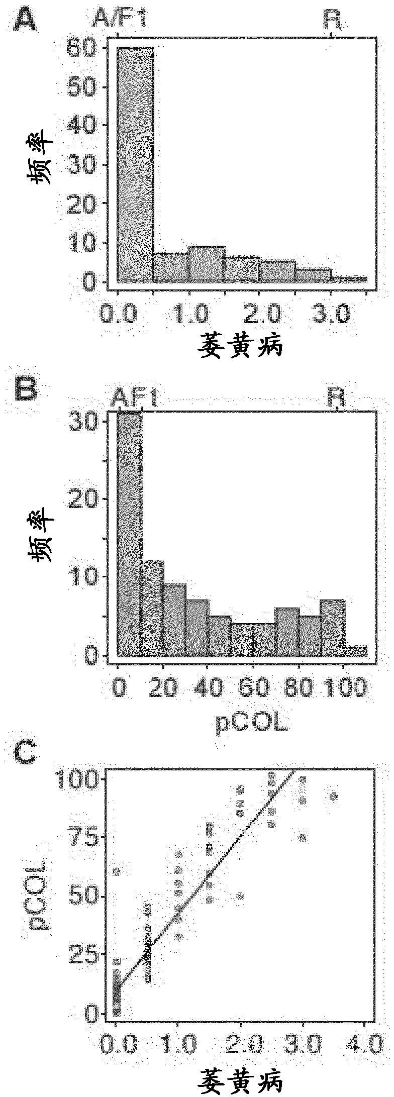 Wheat stripe rust resistance genes and methods of use