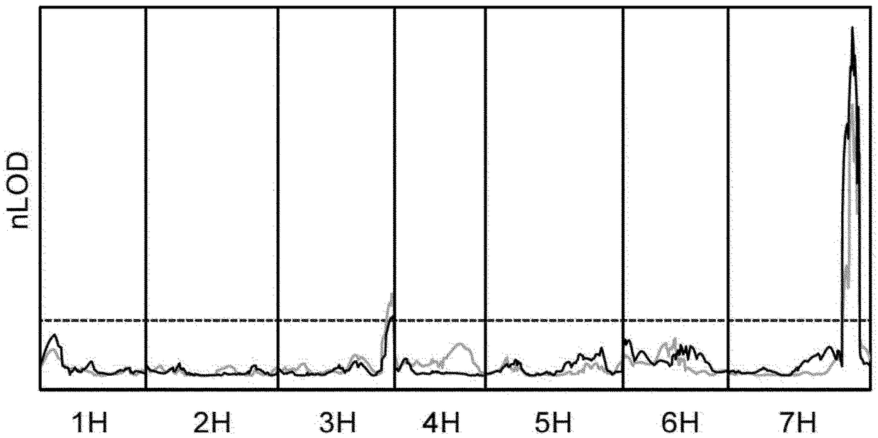 Wheat stripe rust resistance genes and methods of use