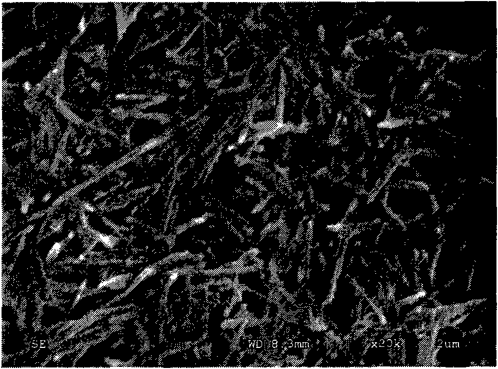 Method for preparing rodlike ultrafine silver powder by carrying out chemical silvering on surfaces of attapulgite nanofibers