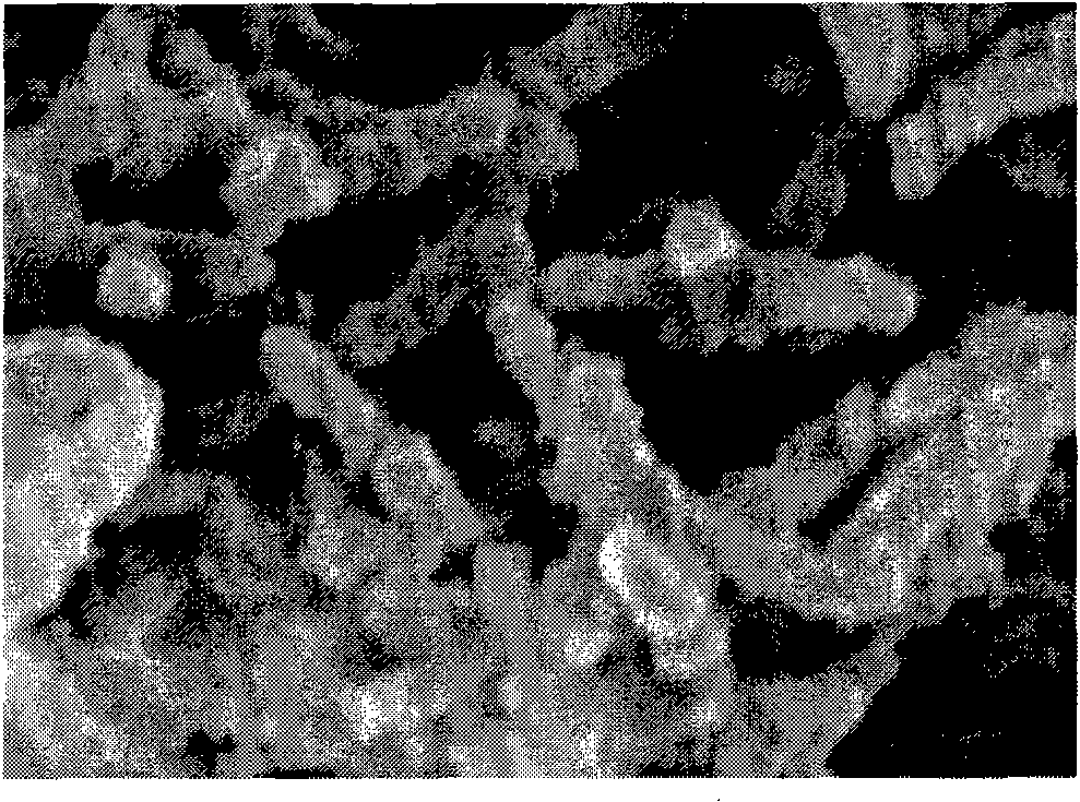 Method for preparing rodlike ultrafine silver powder by carrying out chemical silvering on surfaces of attapulgite nanofibers