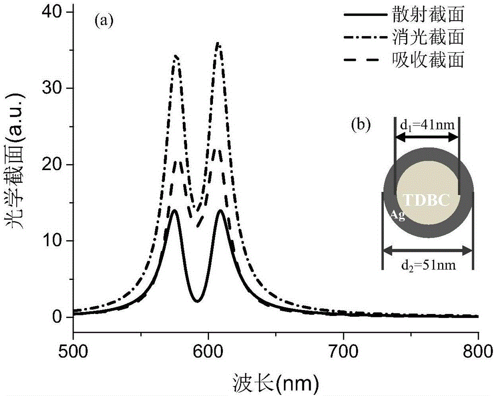 Method for detecting localized environment based on core shell structure nanoparticle strong coupling