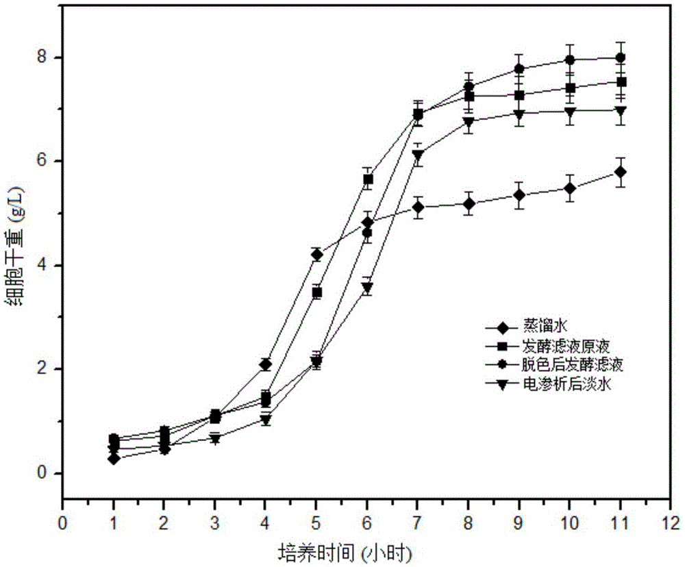 Recycling method of hirsutella sinensis fermentation filtrate