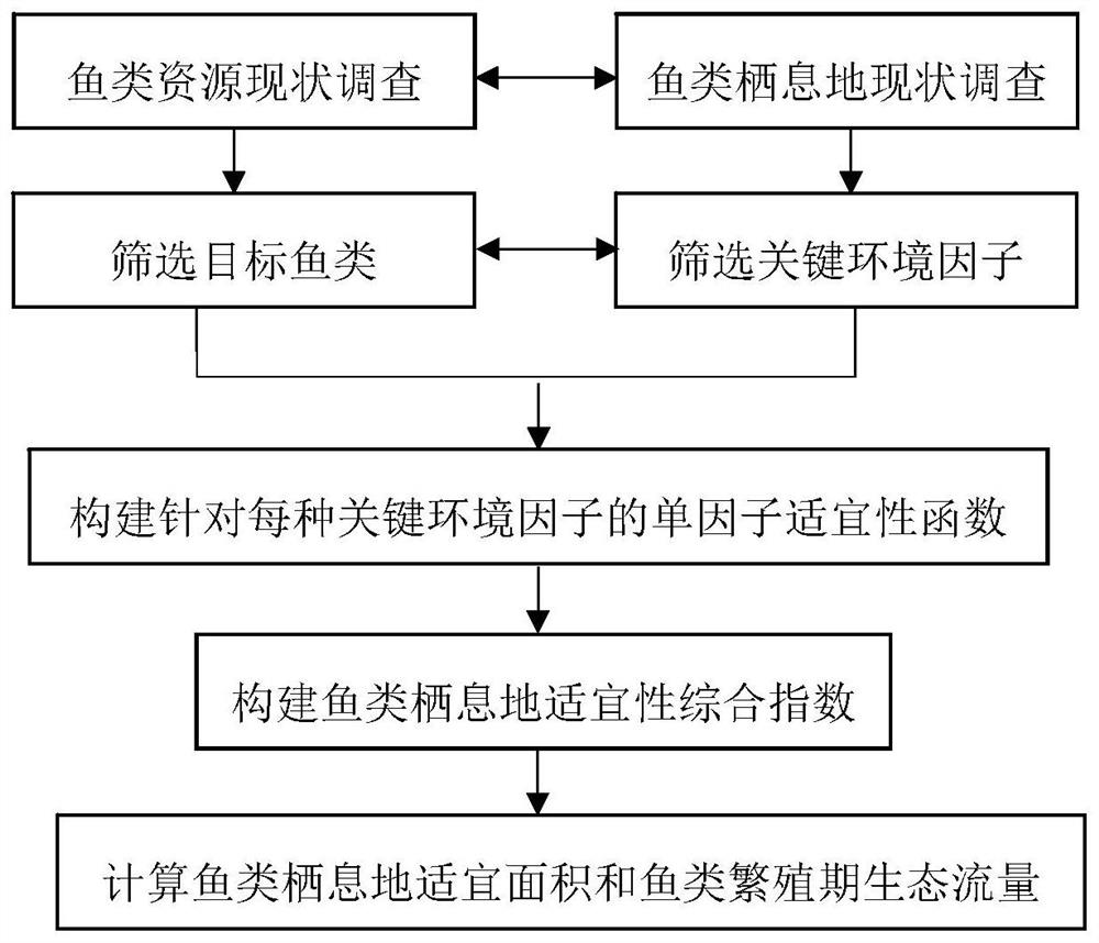 Method for calculating suitable area of river fish habitat based on ecological habits