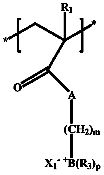 Preparation method and application of polyolefin/nanocrystalline cellulose composite membrane