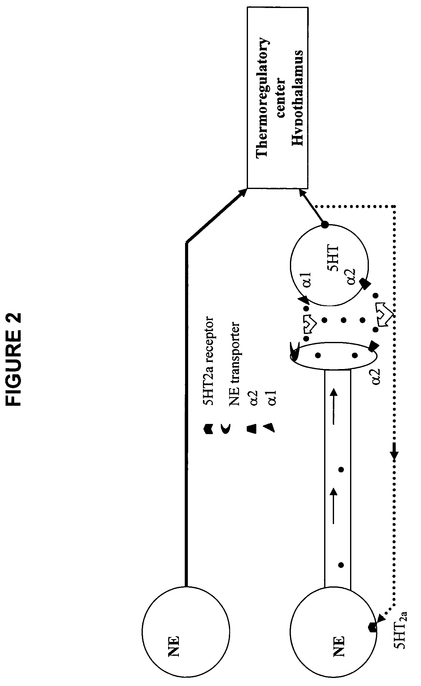 Alkanol and cycloalkanol-amine derivatives and methods of their use