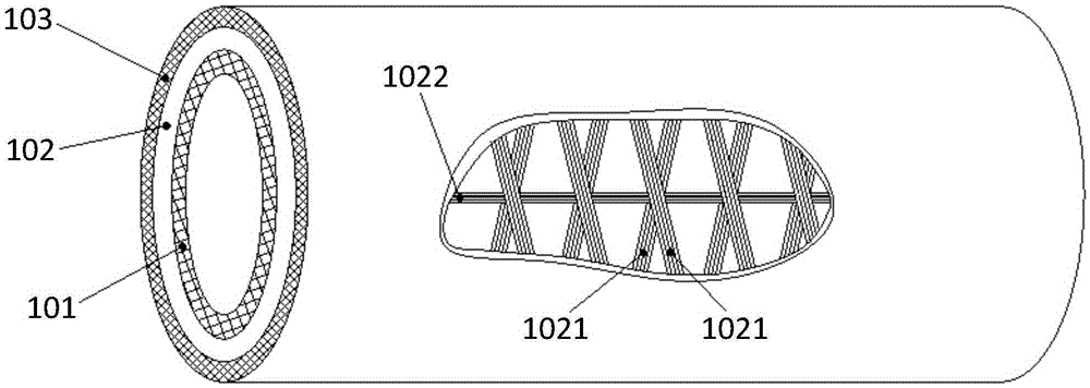 Stent delivering system and use method thereof