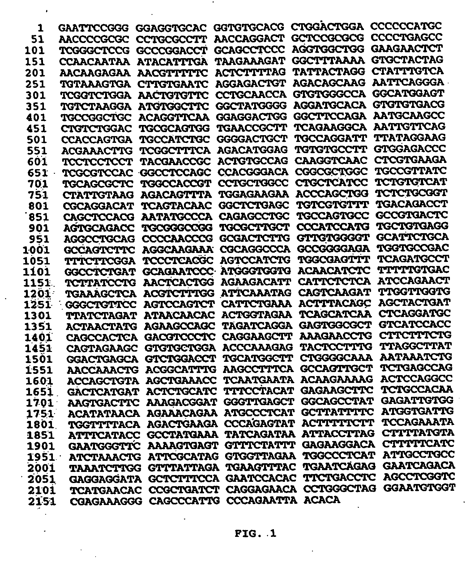 Train-R: a cysteine rich member of the TNF-receptor family