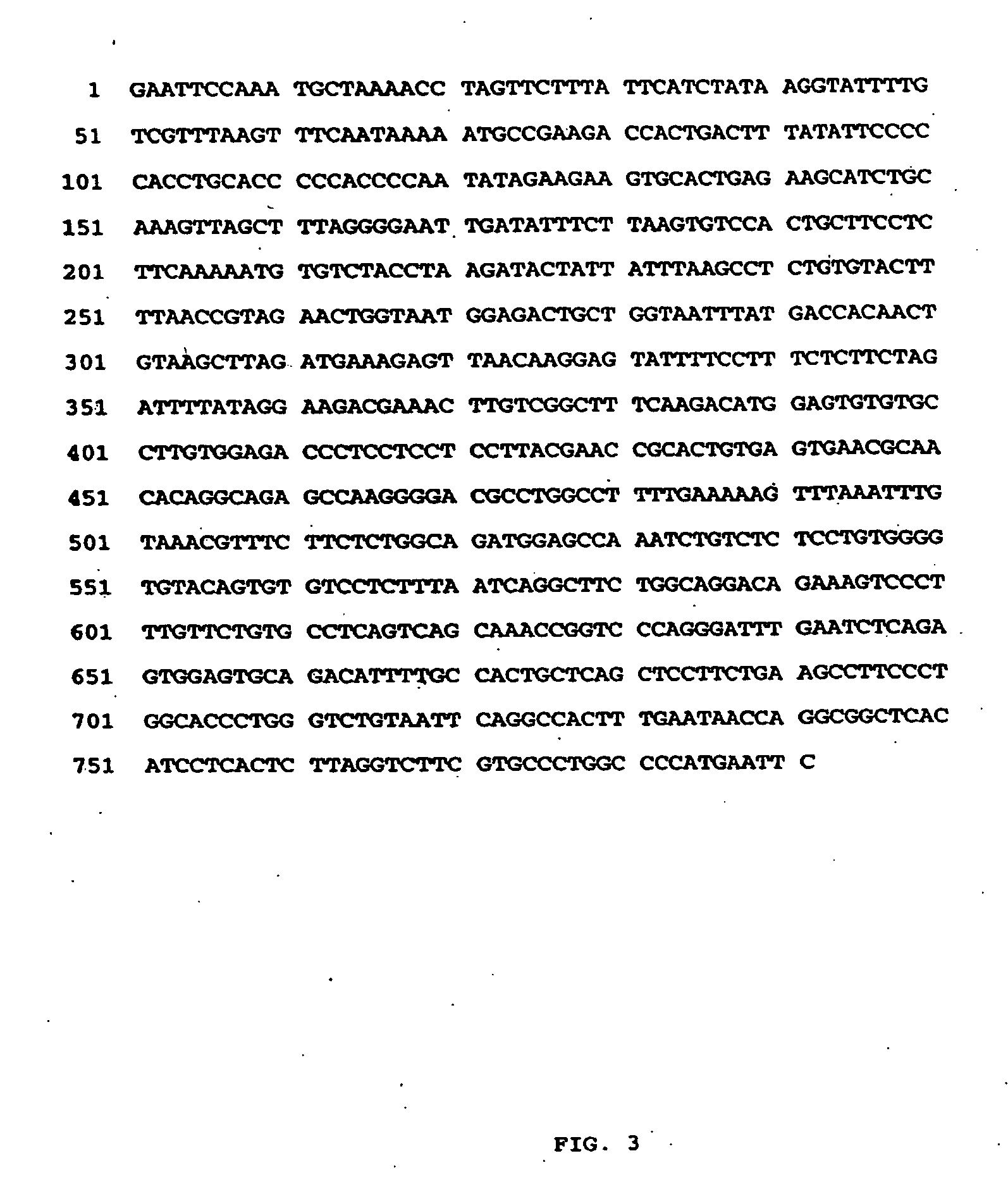 Train-R: a cysteine rich member of the TNF-receptor family