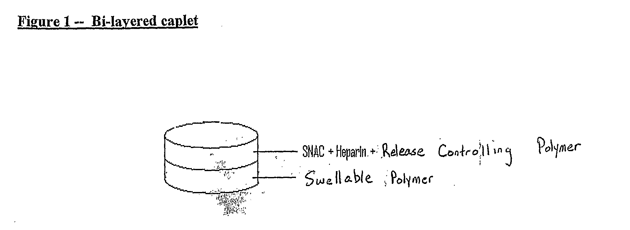 Gastric Retention and Controlled Release Delivery System