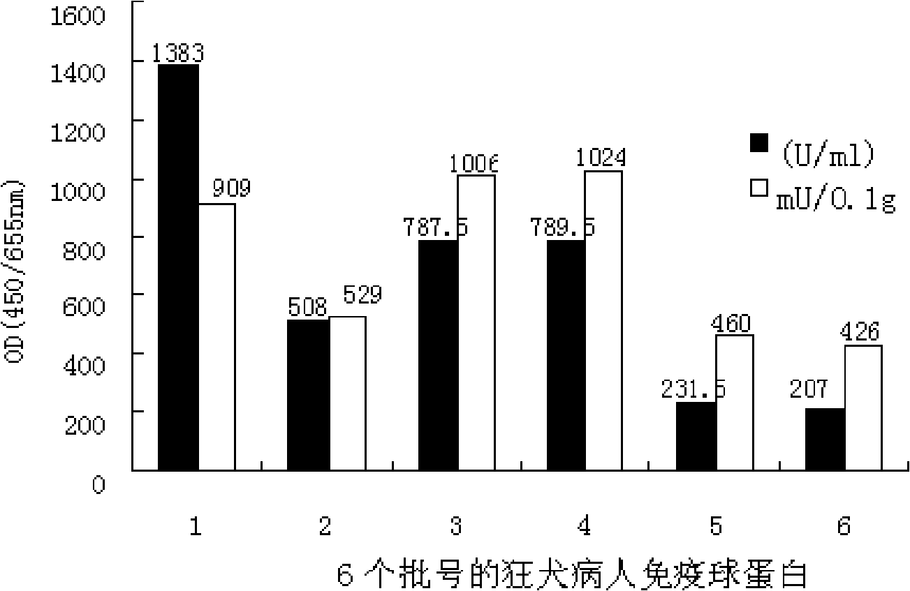 New application of rabies human immunoglobulin in preparing medicine for preventing and controlling Japanese encephalitis and combined vaccine for rabies and Japanese encephalitis