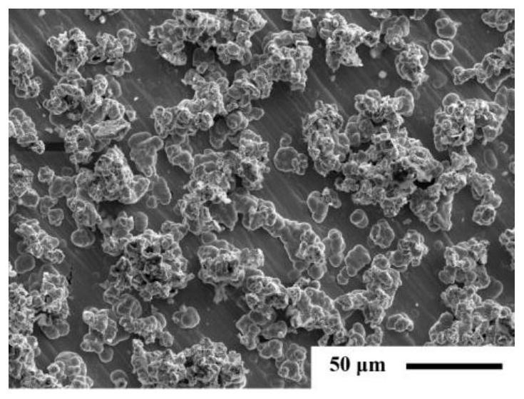 Corrosion-resistant super-hydrophobic copper-nickel composite coating and preparation method and application thereof