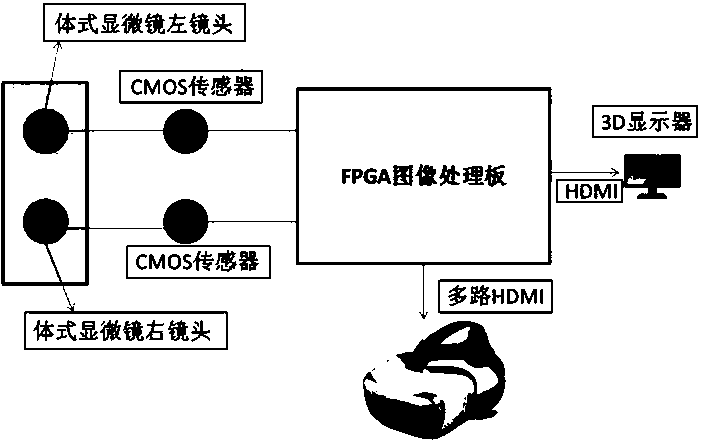 Head-mounted three-dimensional electronic operation microscope system