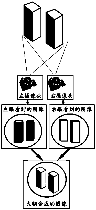 Head-mounted three-dimensional electronic operation microscope system