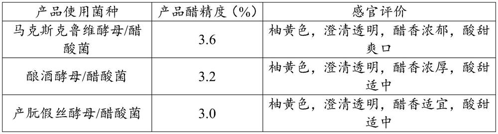 Gynura procumbens vinegar and preparation method thereof