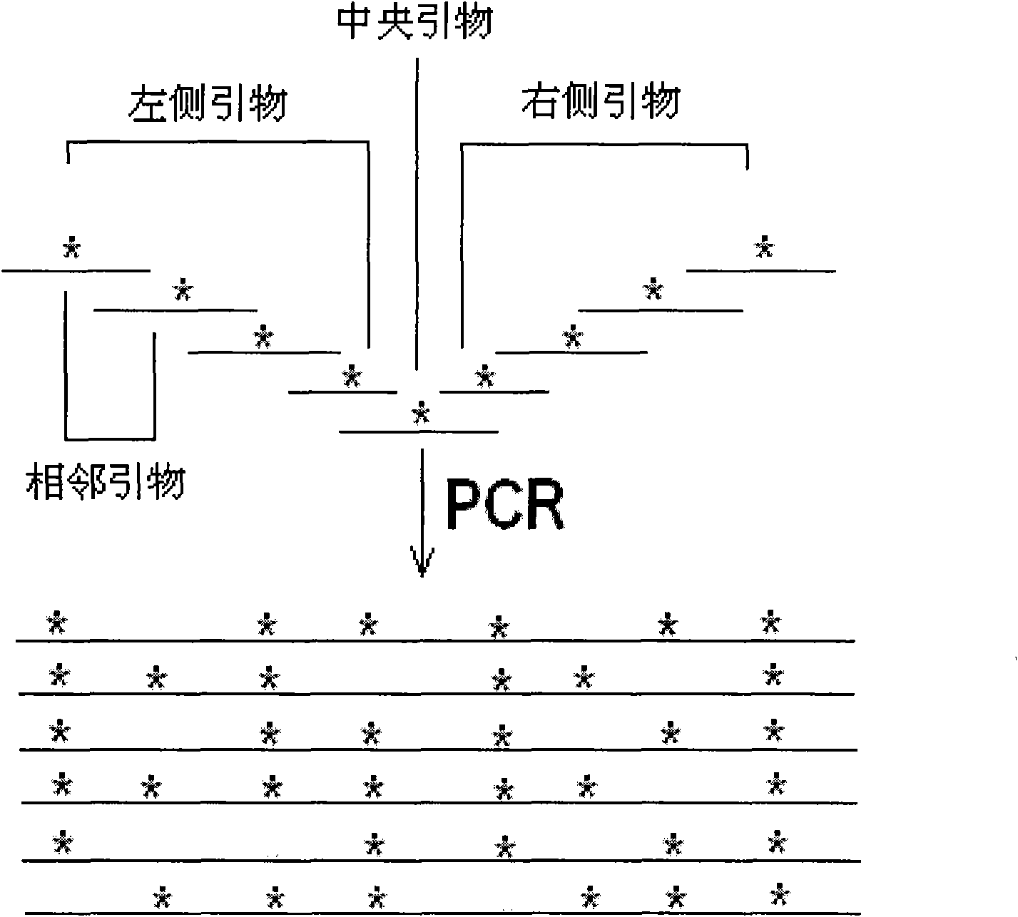 Goose-array type localized random mutation method and application thereof in monoclonal antibody molecular evolution technology