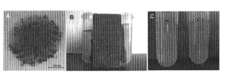 Preparation method and application of a drug-loaded magnetic composite nanomaterial