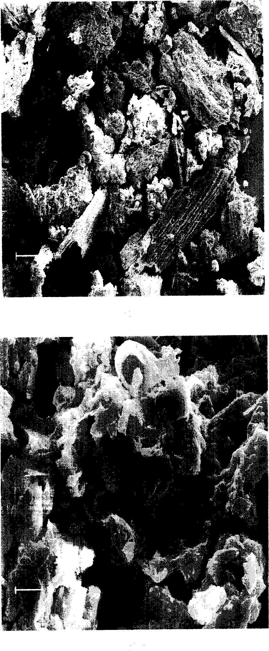 Preparation method of modified turf adsorbent