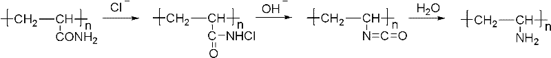 Preparation method of polyvinylamine