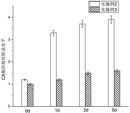 A bioremediation technology for eutrophic water body