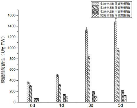 A bioremediation technology for eutrophic water body