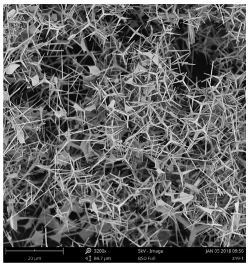 A kind of hydrophobic anti-corrosion coating and preparation method thereof