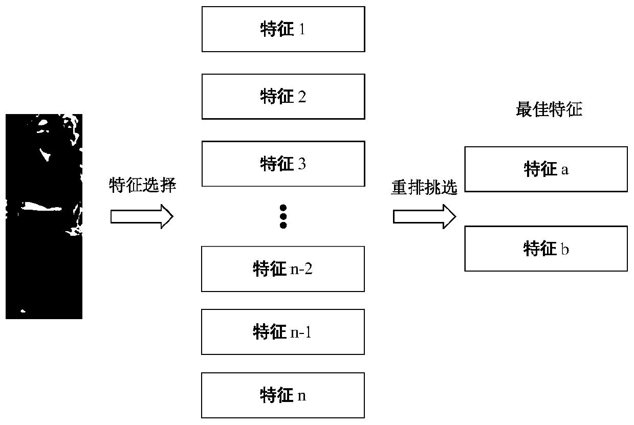 Pedestrian re-identification method, pedestrian re-identification system, pedestrian re-identification device and storage medium