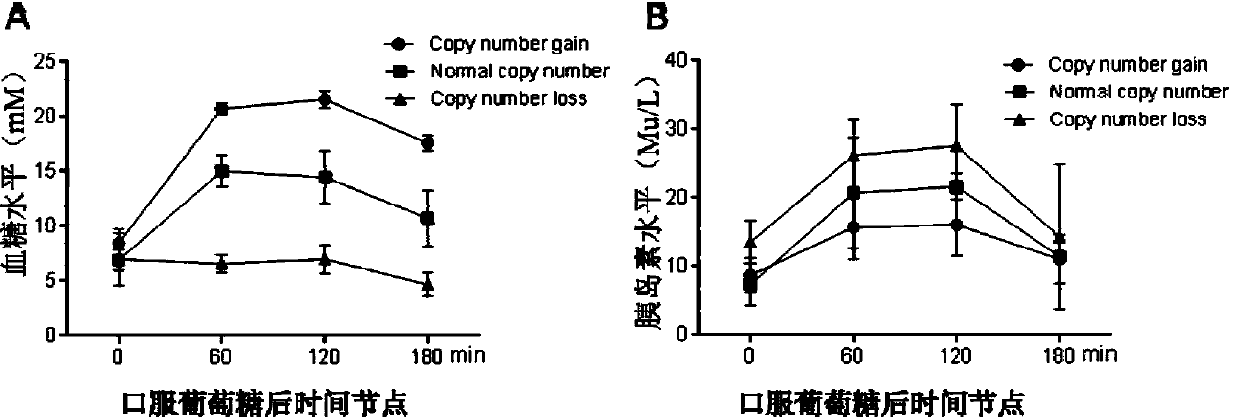 Method for detecting type II diabetes related gene KCNIP1 copy number variation, and application thereof