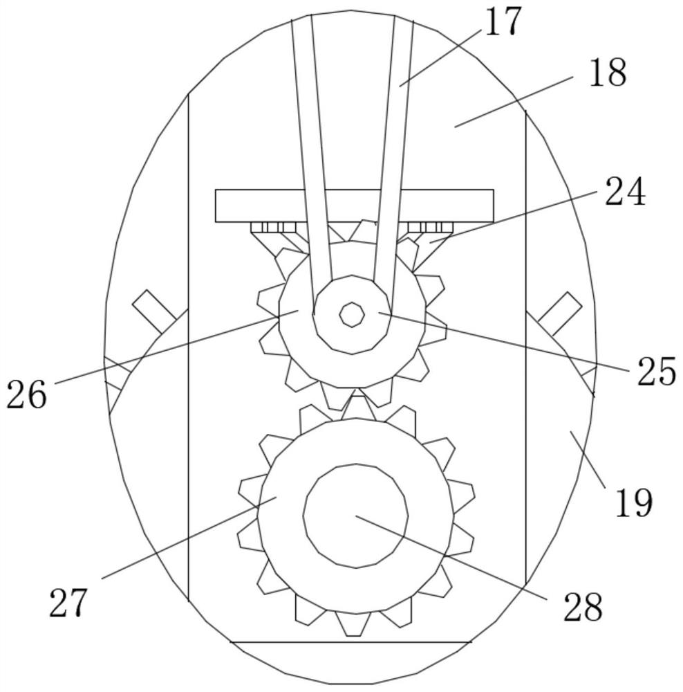 Blank steaming device for edible vegetable oil processing and using method thereof