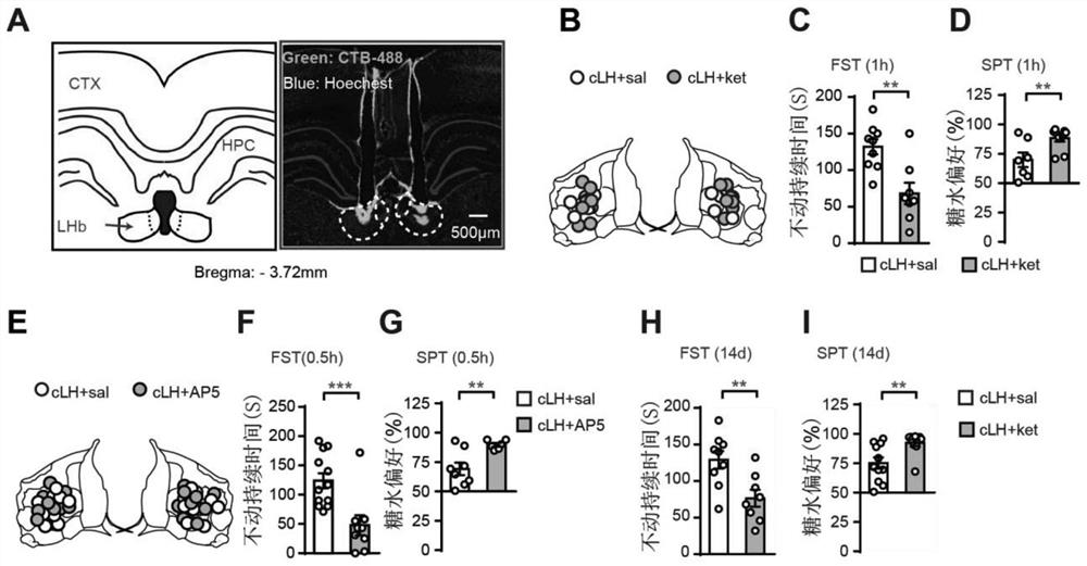 Modulation and use of t-type calcium ion channel inhibitors for depression