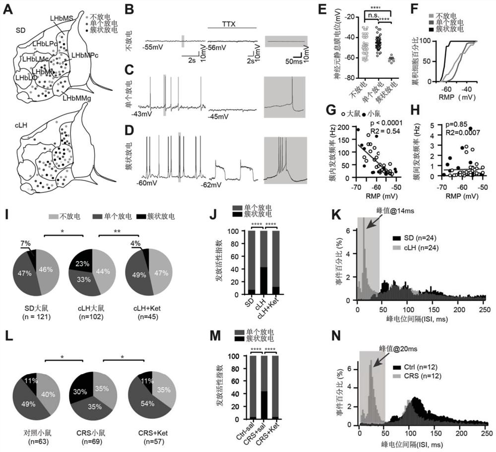 Modulation and use of t-type calcium ion channel inhibitors for depression