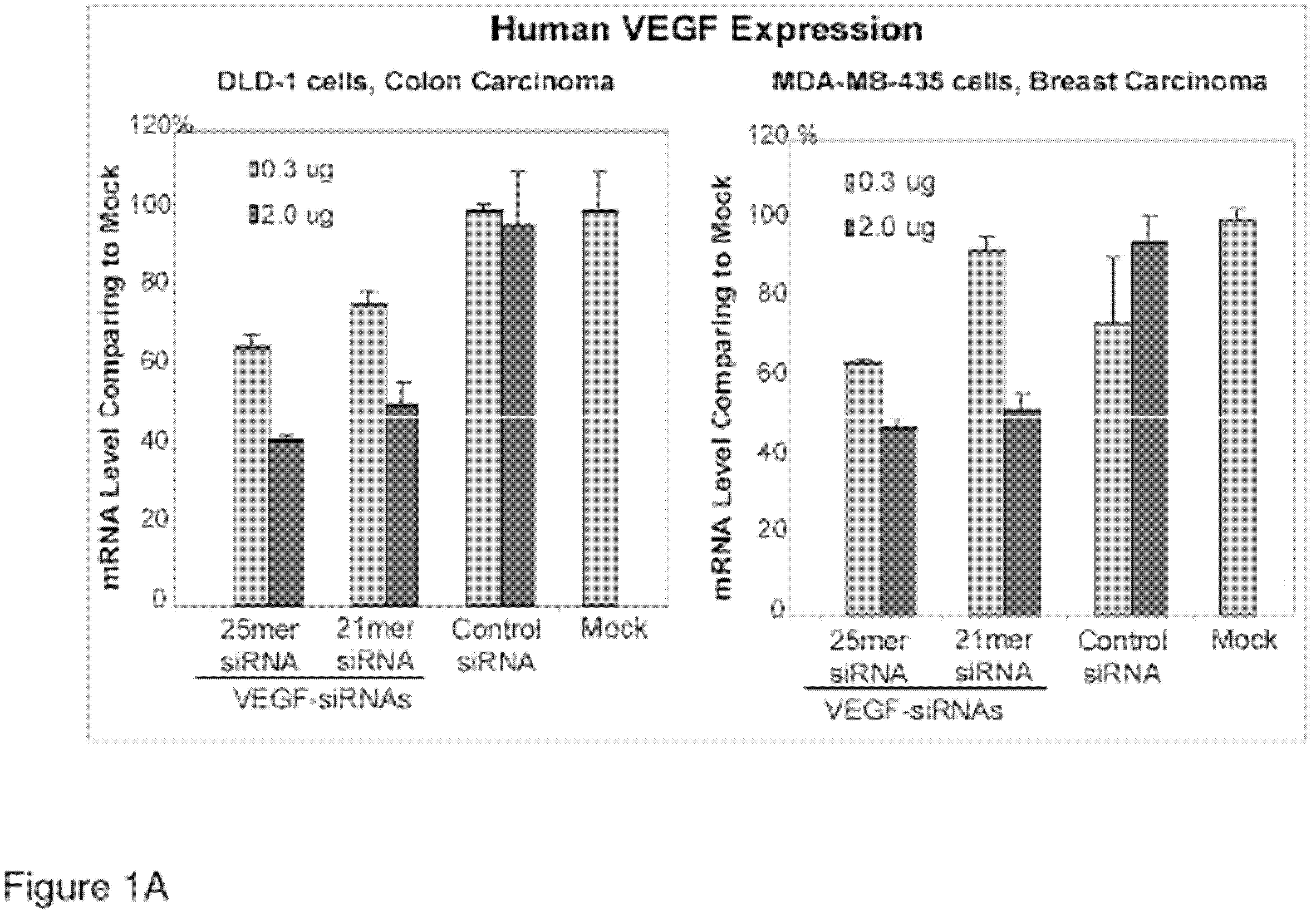 Composition for treating eye diseases by double-target/multi-target small nucleic acid and applications of composition