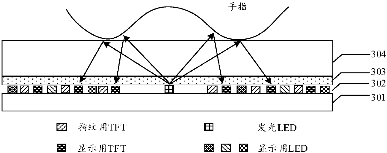 Full screen fingerprint identification OLED module group and fingerprint identification method and display device