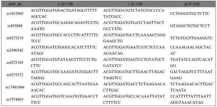 A SNP marker related to auxiliary diagnosis of primary hepatocellular carcinoma and its application