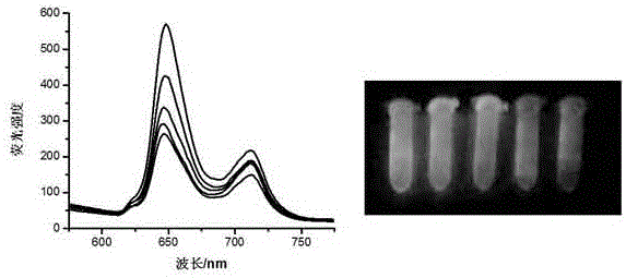 Convenient ATP (adenosine triphosphate) content detecting method adopting pressure-sensitive paint as signal reading tool